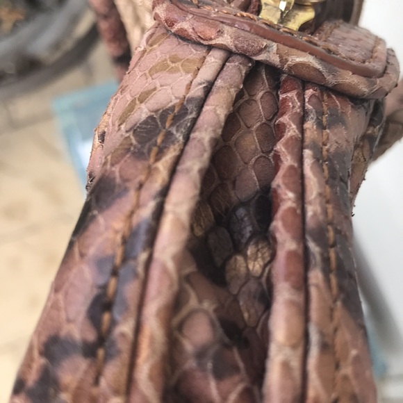 Sondra A Roberts snakeskin reptile faux design - Picture 7 of 7